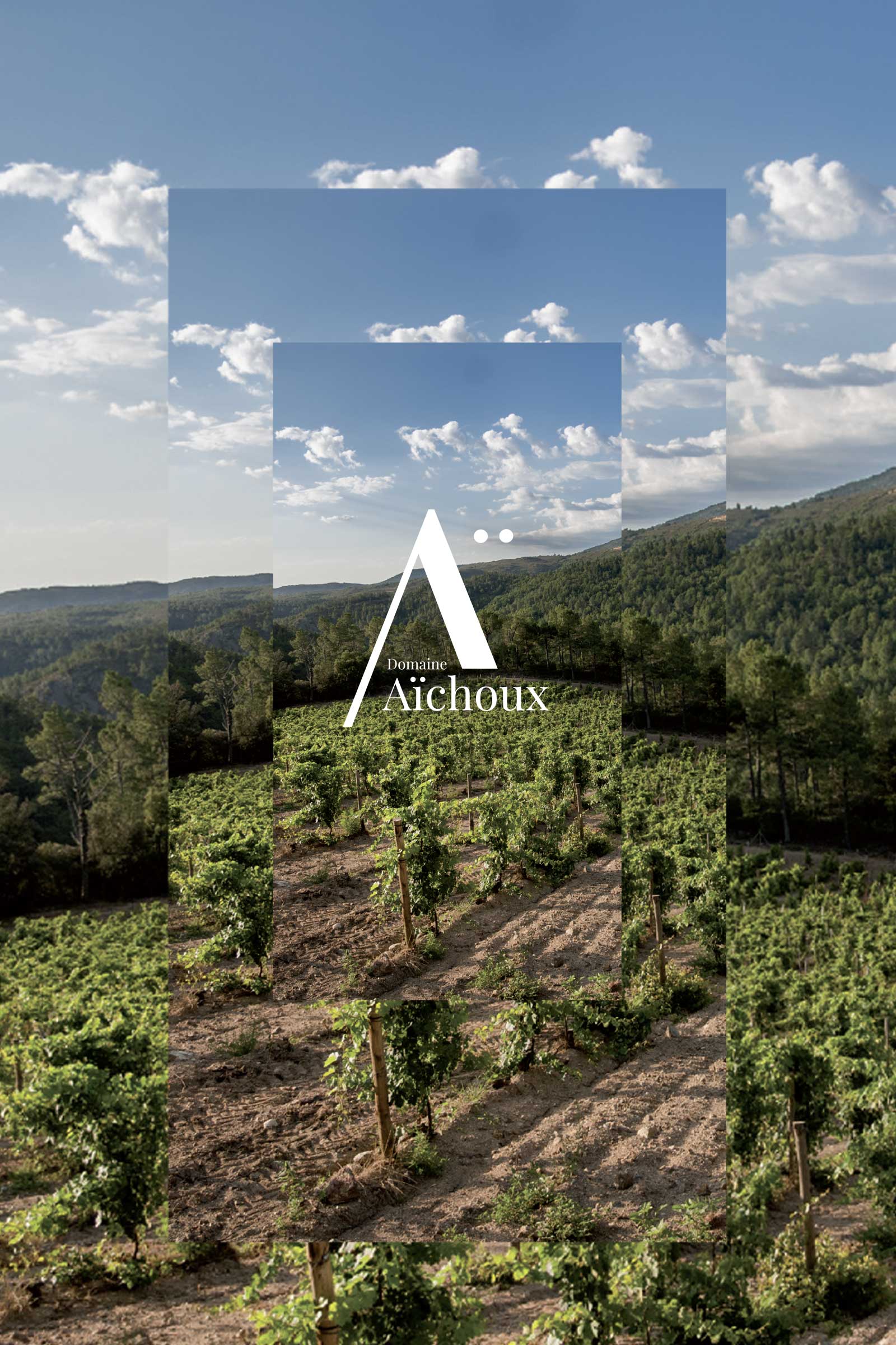 Domaine Aïchoux