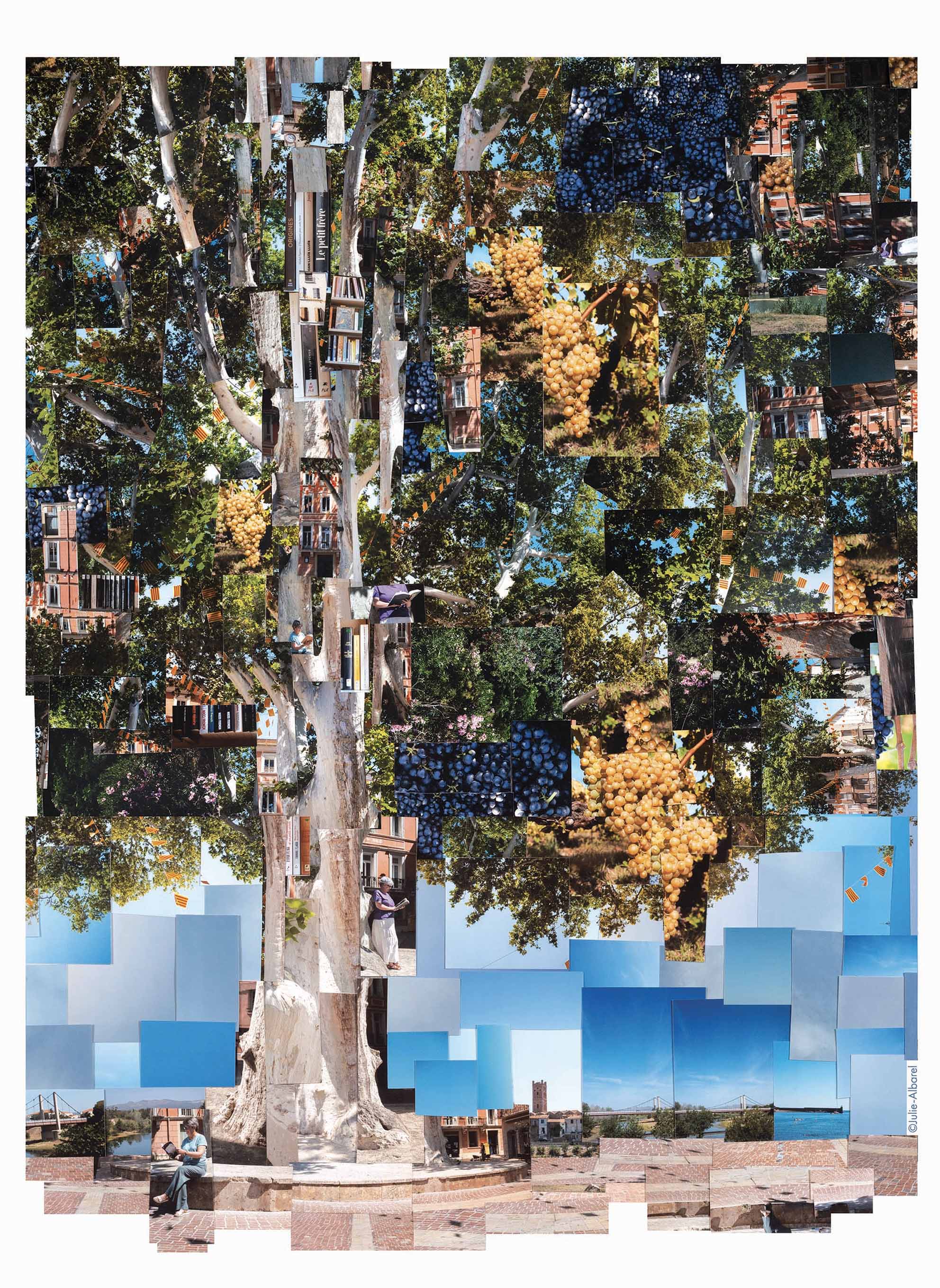 Les Vendanges Littéraires rivesaltes/photos/02.jpg