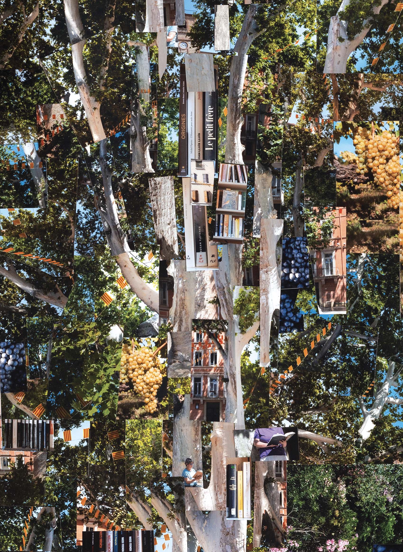 Les Vendanges Littéraires rivesaltes/photos/06.jpg